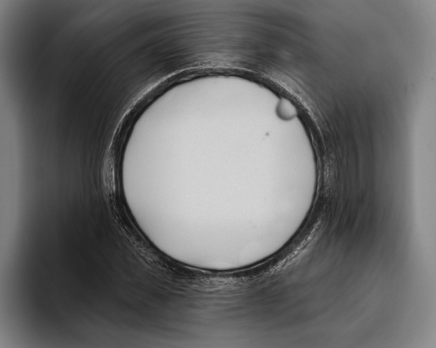 X0000093380925200711081542