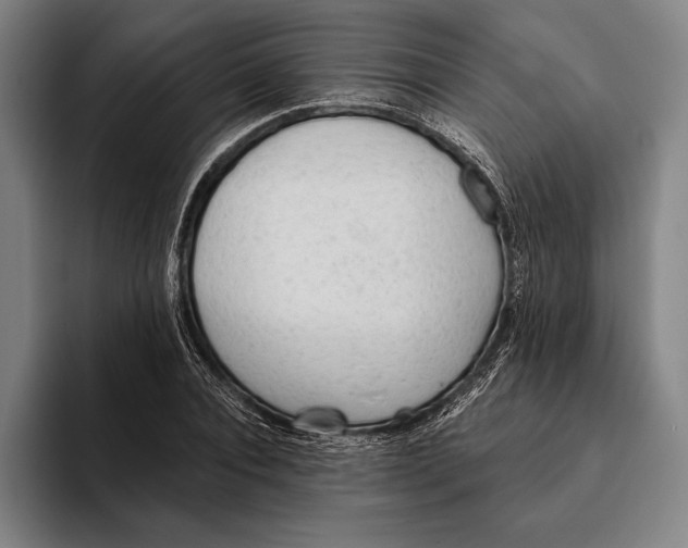 X0000093380928200711081542