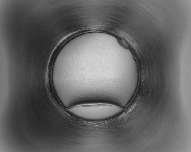 X0000093380932200711081542