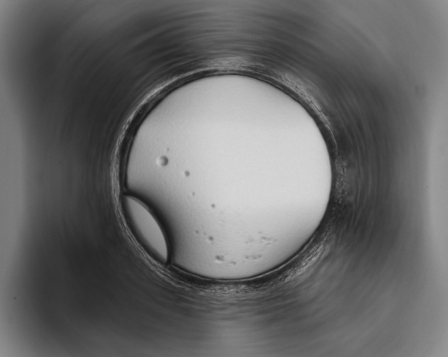 X0000093380939200711081542