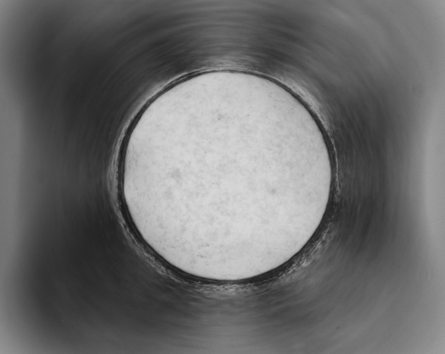 X0000093380949200711081542