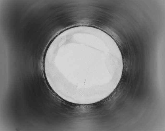 X0000093380950200711081542