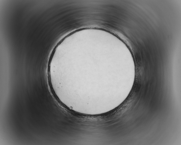 X0000093380951200711081542