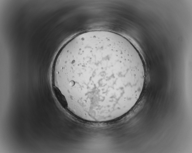 X0000093380957200711081542