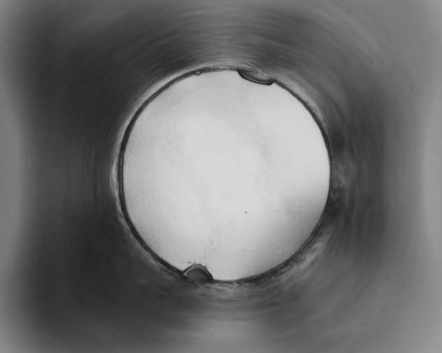 X0000093380959200711081542