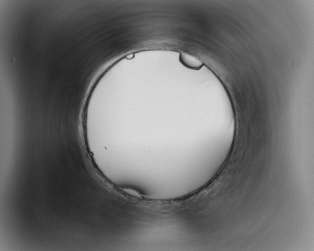 X0000093380960200711081542