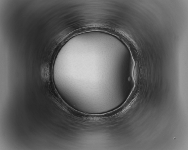 X0000093380969200711081541