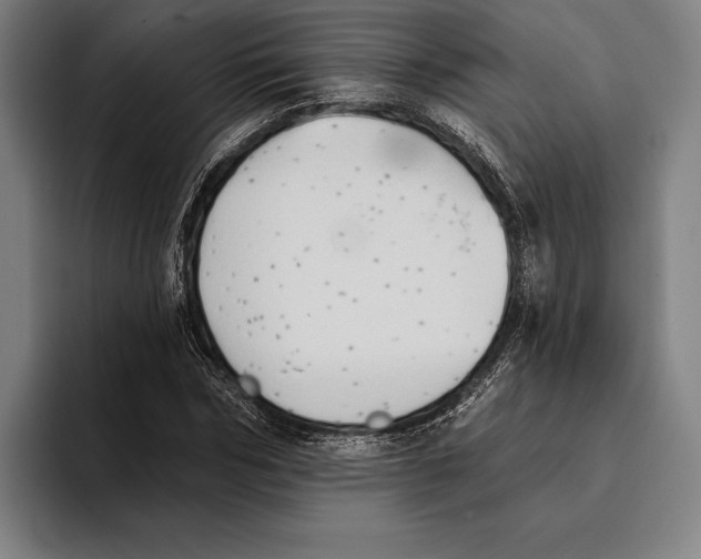 X0000093380970200711081541