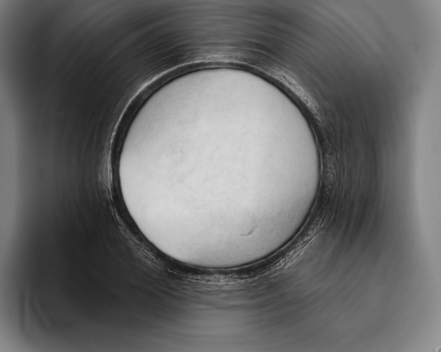 X0000093380980200711081541