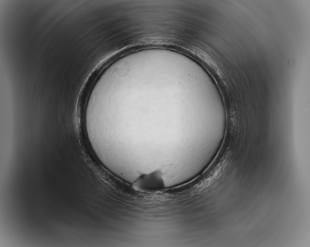 X0000093380981200711081541