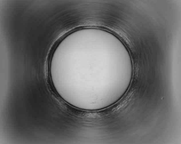 X0000093380982200711081541