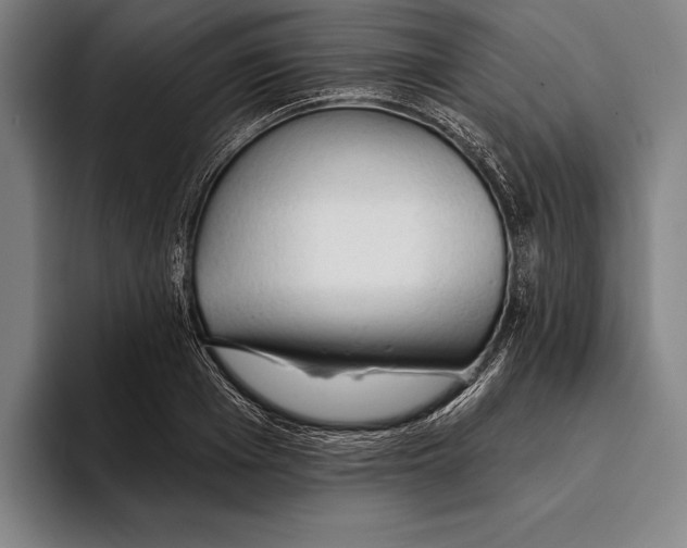 X0000093380985200711081541