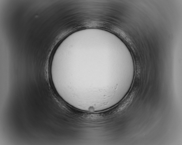 X0000093380986200711081541