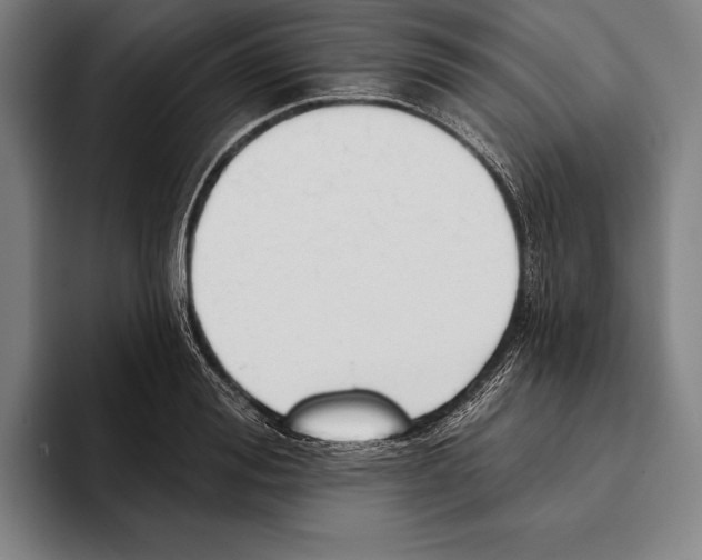 X0000093380988200711081541