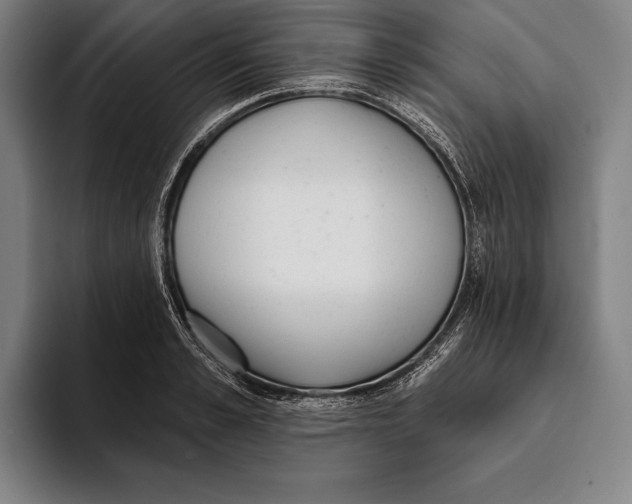 X0000093380989200711081541