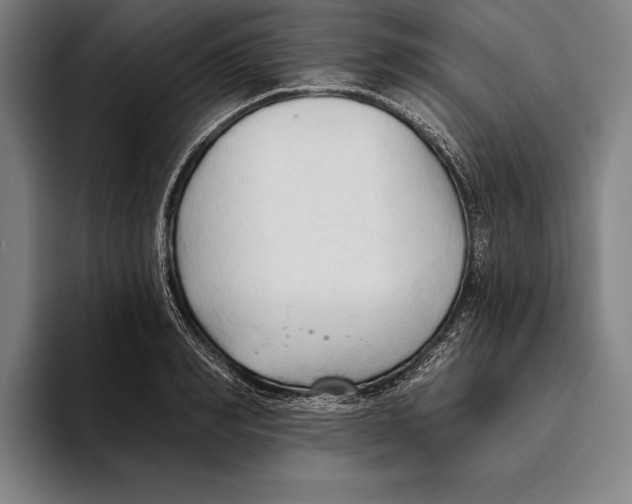 X0000093380990200711081541