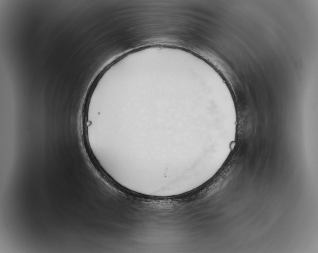 X0000093380999200711081541