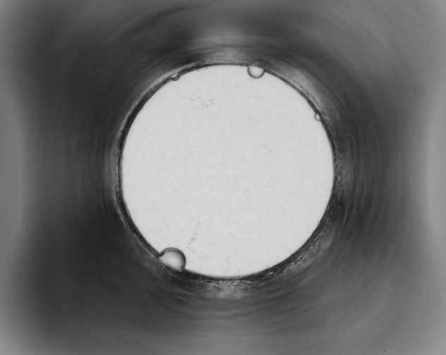 X0000093381000200711081541