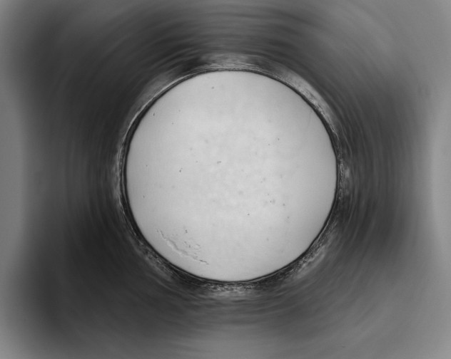 X0000093381002200711081541