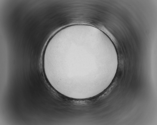 X0000093381004200711081541