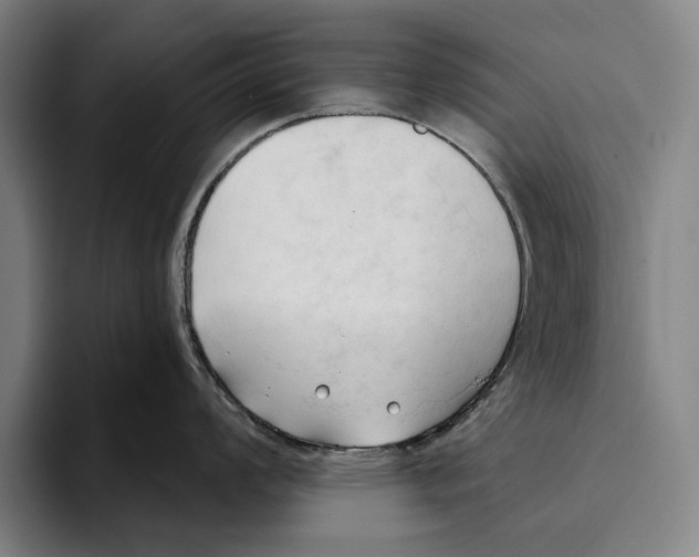 X0000093381008200711081541