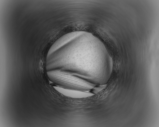 X0000093381010200711081540