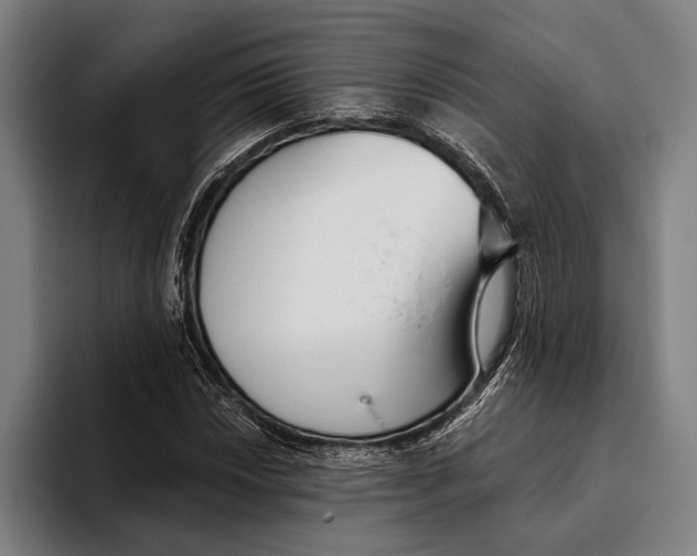 X0000093381018200711081540