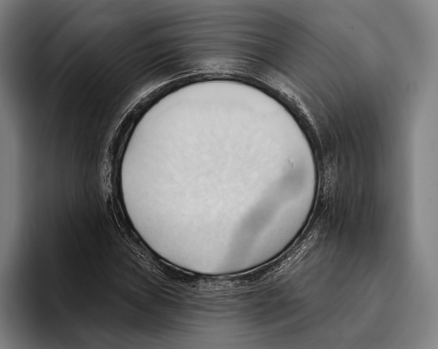 X0000093381019200711081540