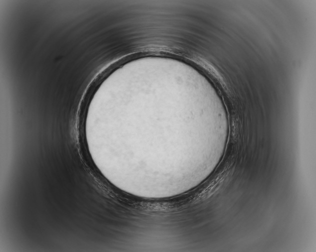 X0000093381020200711081540