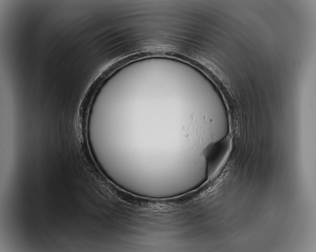 X0000093381022200711081540