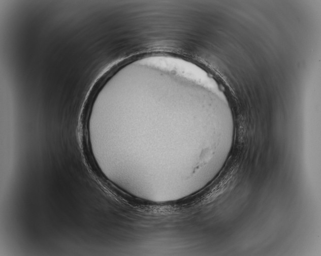 X0000093381024200711081541