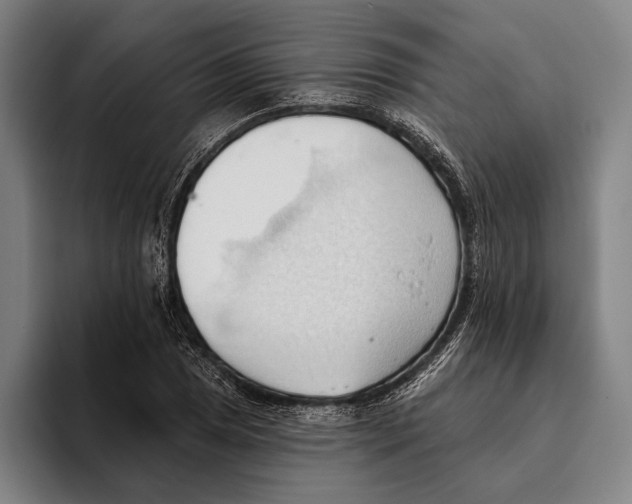 X0000093381025200711081541