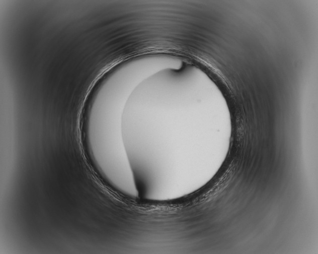 X0000093381026200711081541