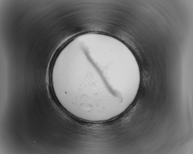 X0000093381028200711081541