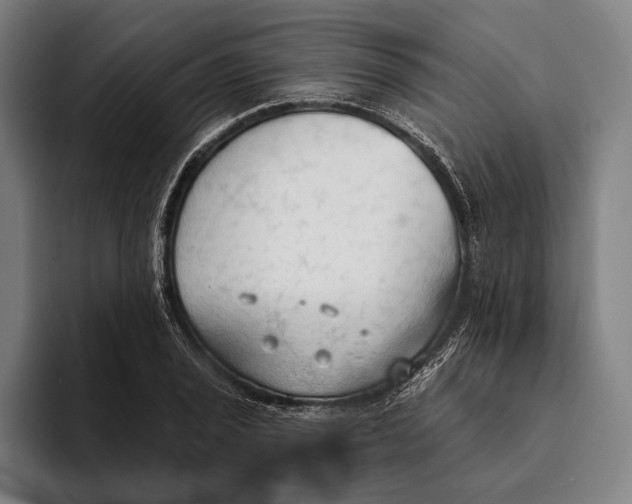 X0000093381029200711081541