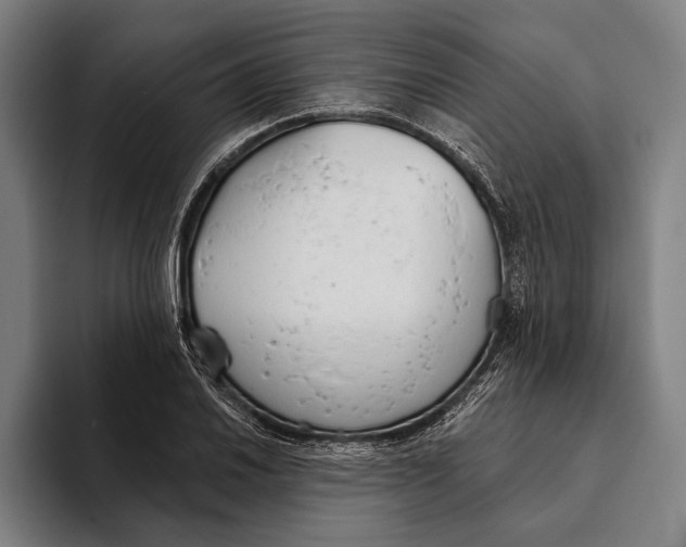 X0000093381030200711081541