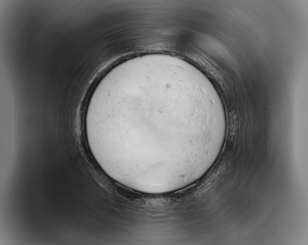 X0000093381031200711081541