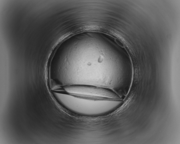 X0000093381034200711081541