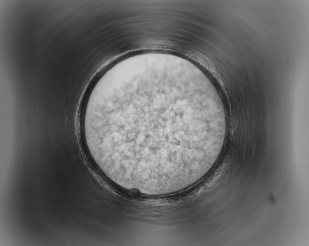 X0000093381037200711081541