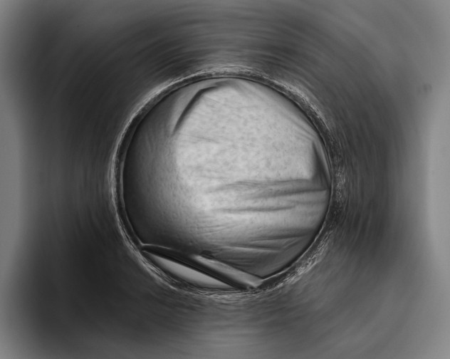 X0000093381038200711081541