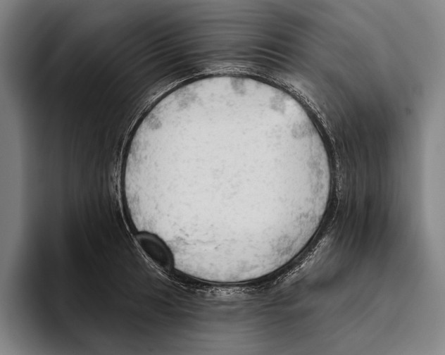 X0000093381041200711081541