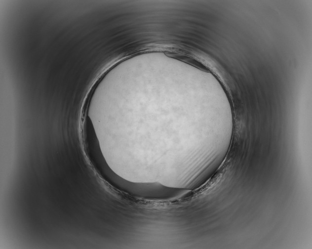 X0000093381050200711081541