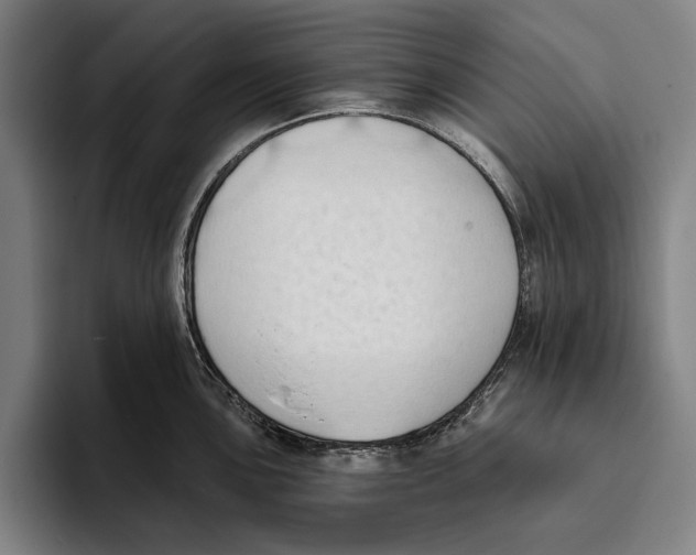 X0000093381051200711081541