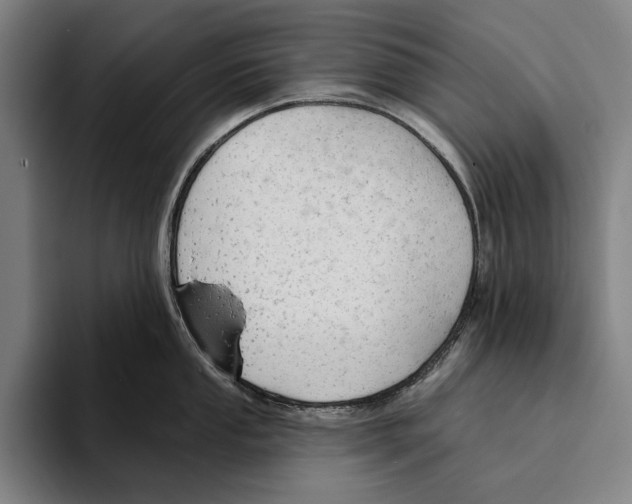 X0000093381053200711081541