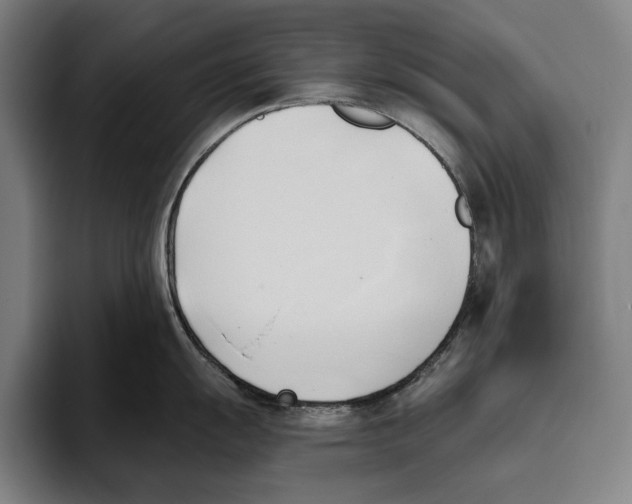 X0000093381055200711081541