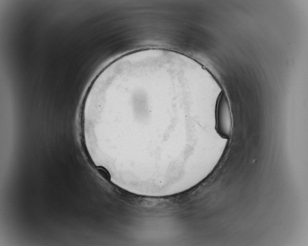 X0000093381056200711081541