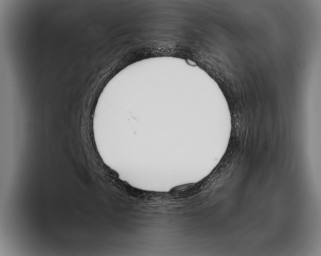 X0000093381057200711081540