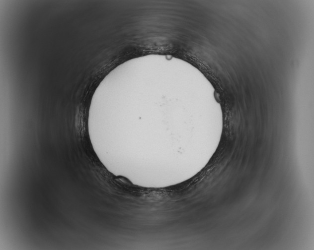 X0000093381058200711081540