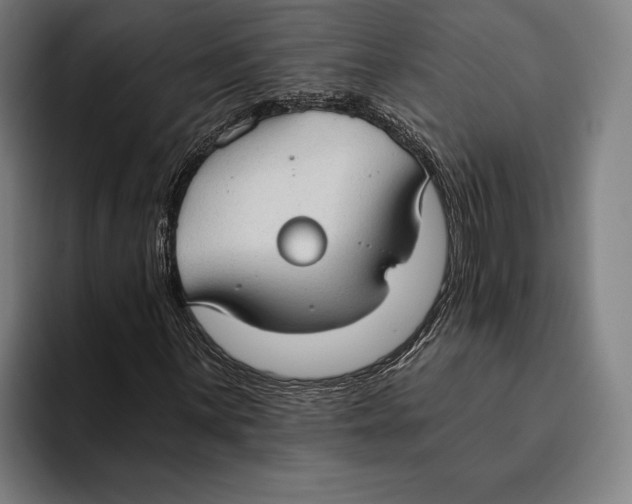 X0000093381059200711081540