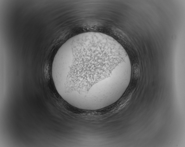 X0000093381060200711081540